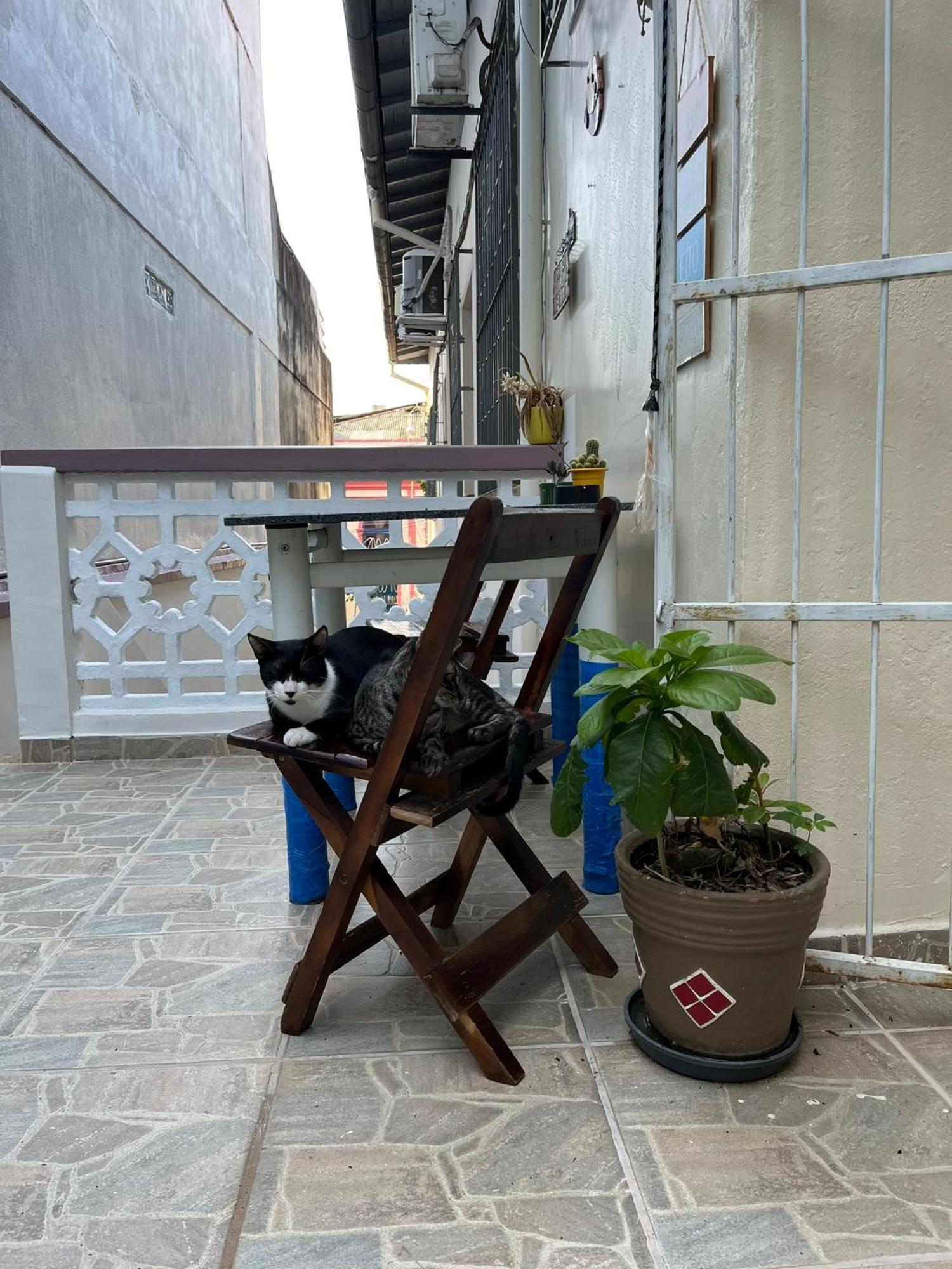 Aldeia Hostel Manaus Luaran gambar