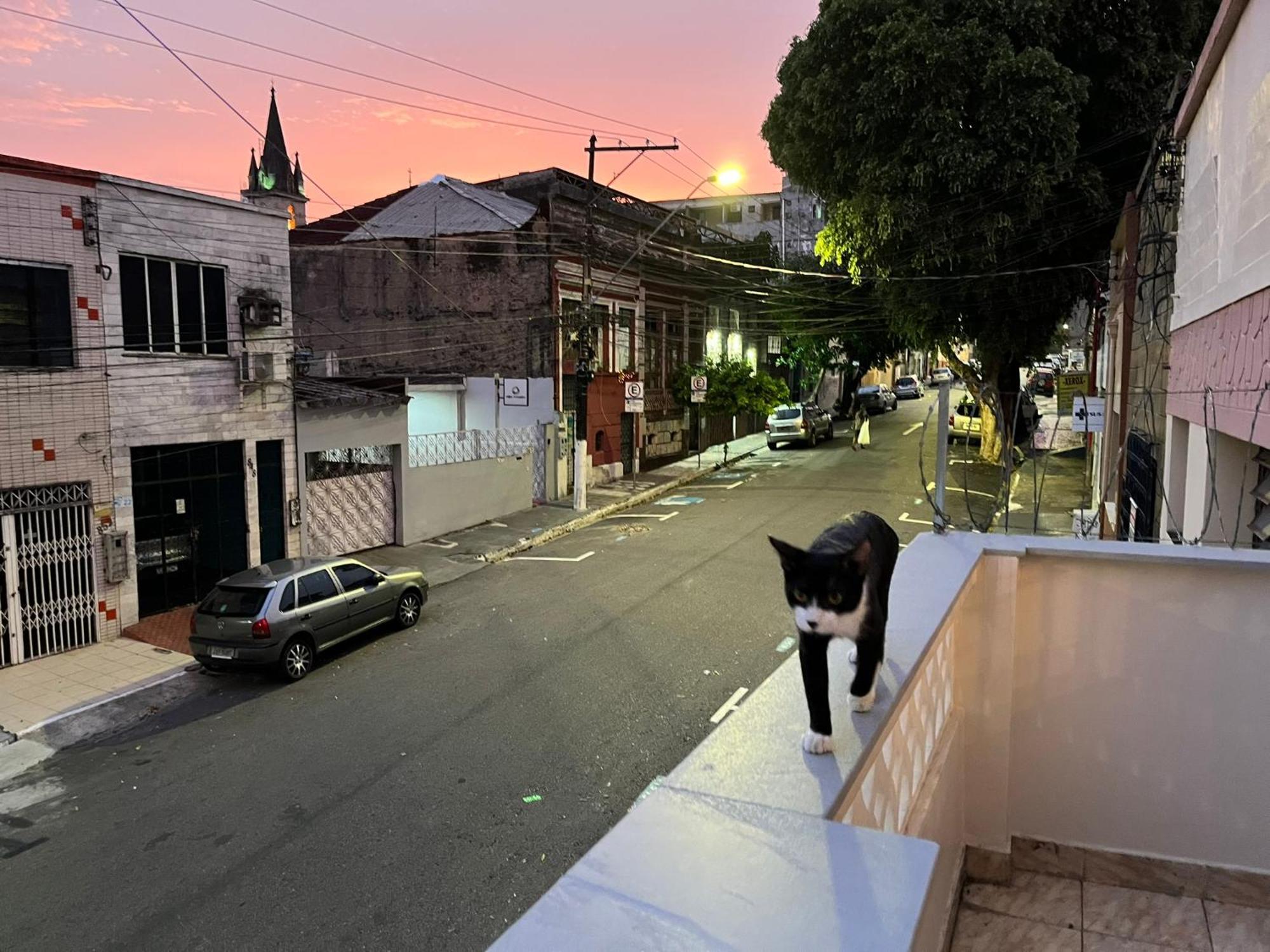 Aldeia Hostel Manaus Luaran gambar
